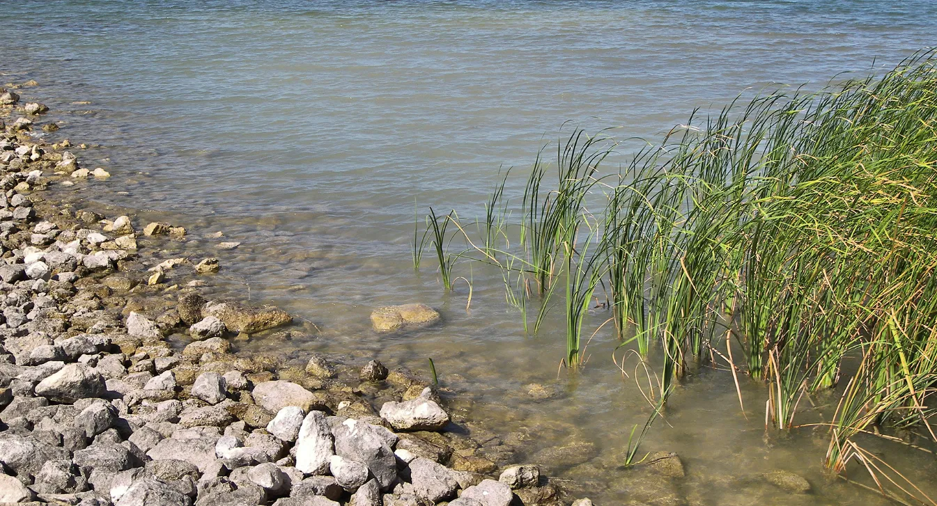  Spray Foam Insulation Company