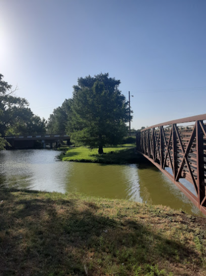Hidden Falls Adventure Park