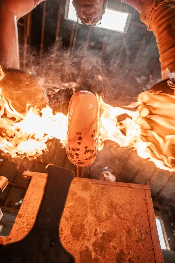 Hidden Falls Adventure Park