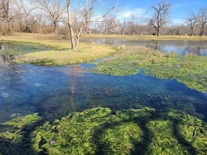 Berry Springs Park and Preserve